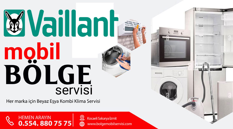 Vaillant Sakarya Kocaeli Klima Kombi Servisi